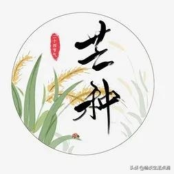 芒种后面的节气是什么_芒种后面一个节气_芒种节气之后是什么节气