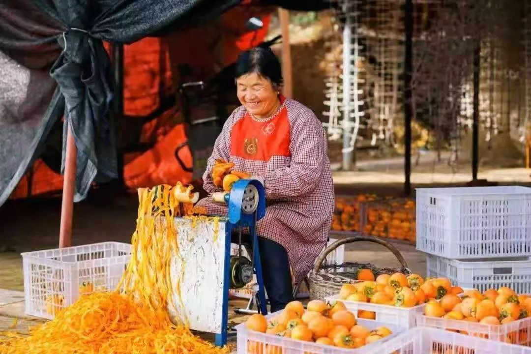 柿饼发霉和白霜区别_柿霜和发霉的区别_柿饼的霜和霉