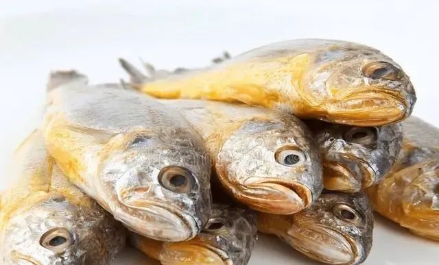 红烧鱼种适合什么鱼_最适合红烧的五种鱼_红烧鱼适合哪种鱼