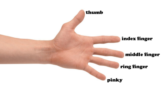 手指名字示例图_手指名字示意图_手指名字