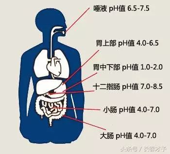 氢氧化钙溶解度随温度变化_氢氧化钙溶解度随温度变化曲线_氢氧化钙溶解度与温度的关系