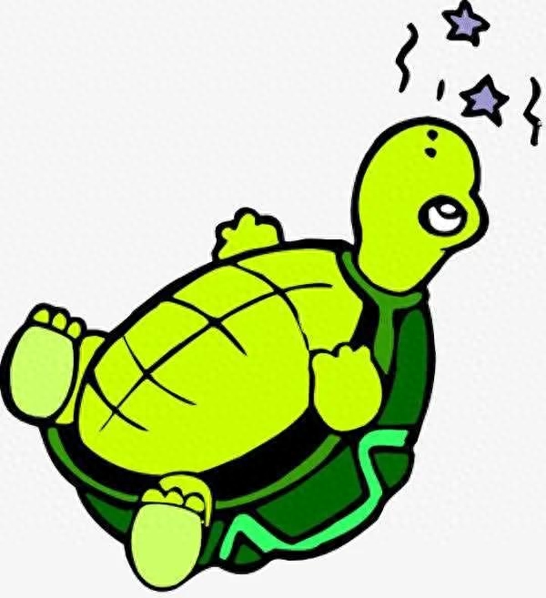 乌龟特点简单介绍_乌龟特点怎么写_乌龟的特点