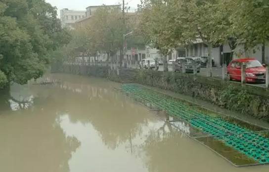 大禹治水在哪个省_治水大禹治水_大禹治水治理的是哪个省