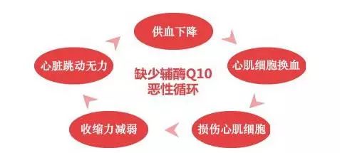 心脏保护的食物_保护心脏的食物第一名_保护心脏的食物和水果有哪些