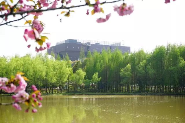 天生桥景区简介_天生桥风景区_天生桥游览图