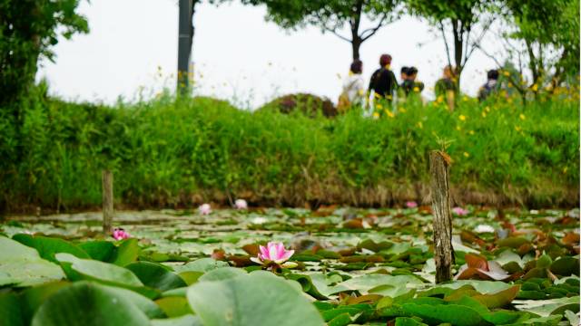 天生桥风景区_天生桥游览图_天生桥景区简介