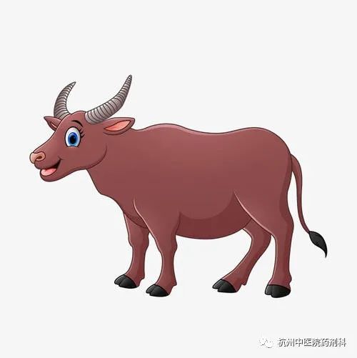 牛黄是牛的哪个部位的_牛板肠是牛的哪个部位_牛宝是牛的哪个部位