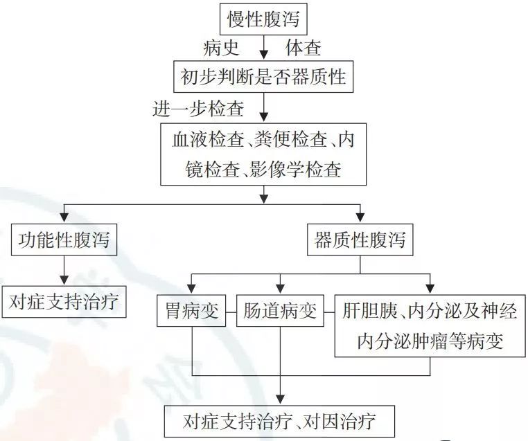 大便脂肪图片_大便拉脂肪是怎么回事_脂肪泻大便图