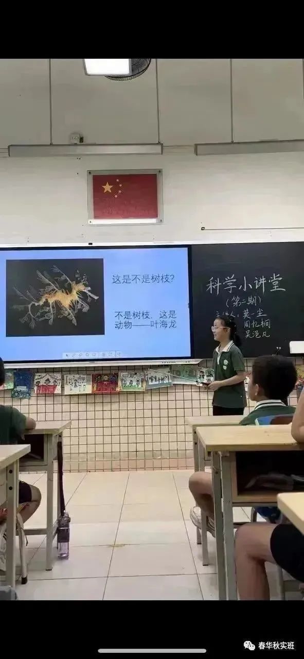 海底动物有哪些_海底动物有什么动物_海底动物有多少种类