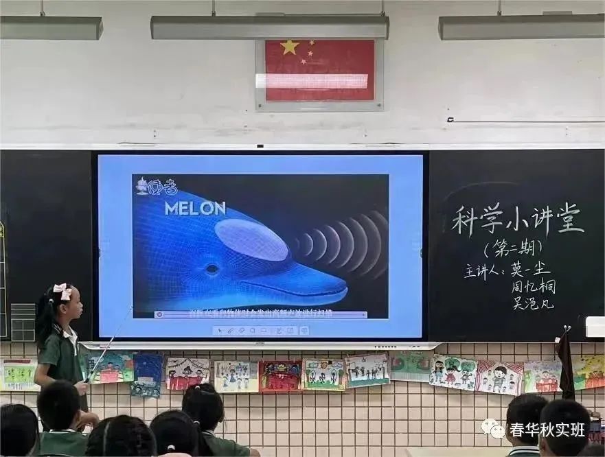 海底动物有什么动物_海底动物有哪些_海底动物有多少种类