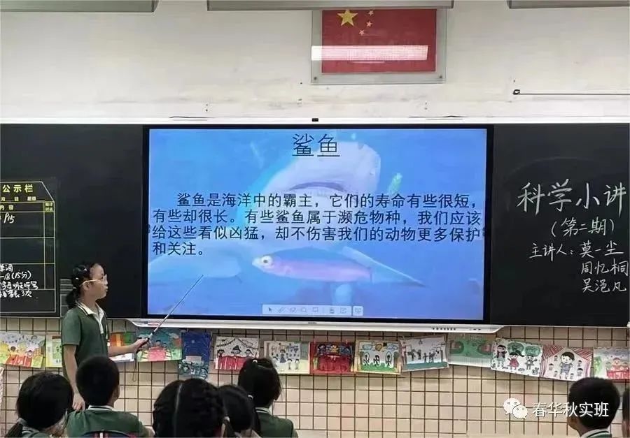 海底动物有哪些_海底动物有什么动物_海底动物有多少种类